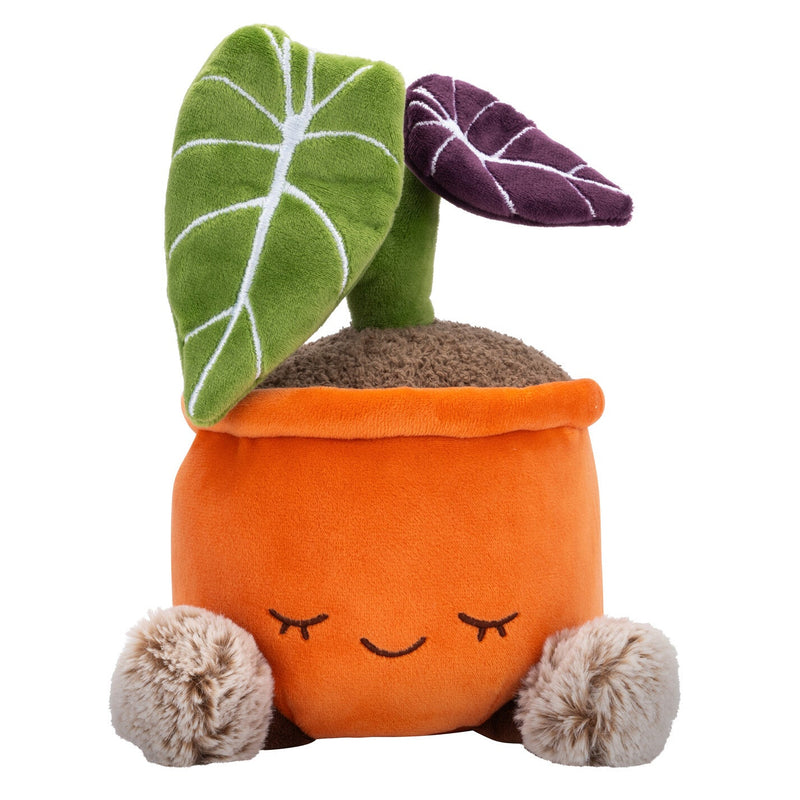 Invernadero por Russ Planta de Alocasia de Terciopelo Negro de 12 Pulgadas de Peluche