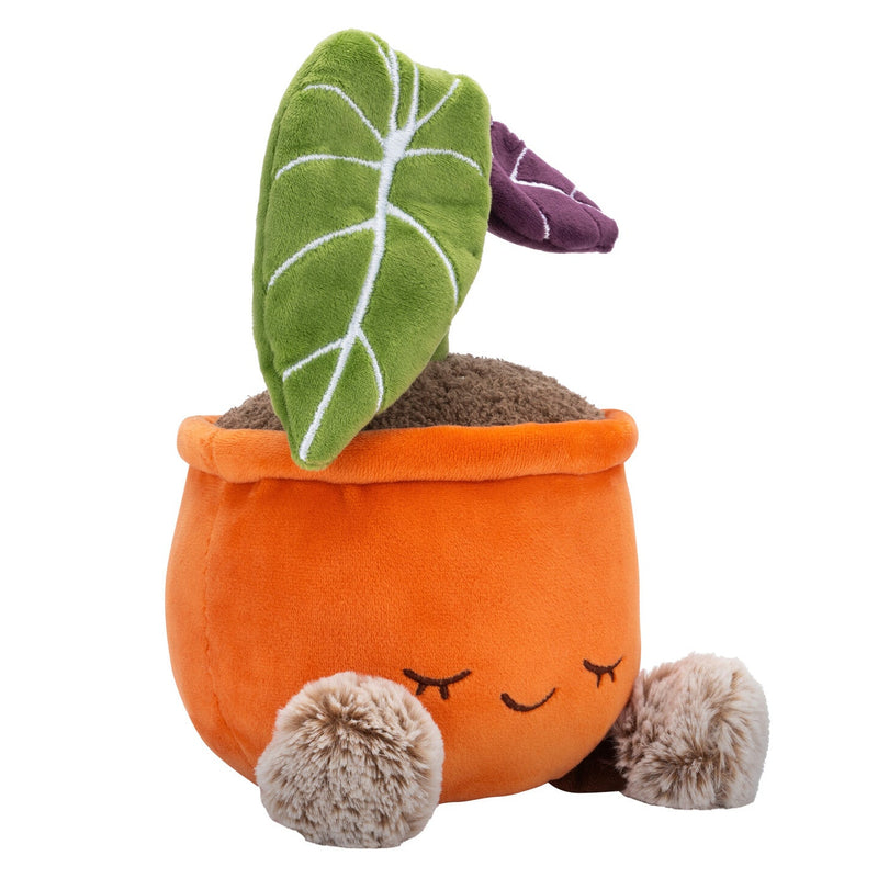 Invernadero por Russ Planta de Alocasia de Terciopelo Negro de 12 Pulgadas de Peluche