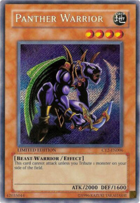 Panther Warrior - 2005 Collectors Tin (CT2) Limited Edition-image