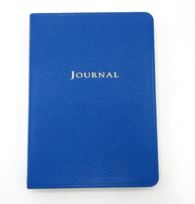 Journal Diary 7