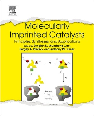 Molecularly Imprinted Catalysts : Principles, Syntheses, and Applications, Ha...-image