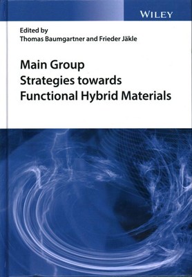 Main Group Strategies Towards Functional Hybrid Materials, Hardcover by Baumg...-image