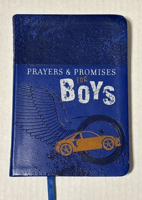 Daily Devotional Teen Prayers & Promises for Boys (Broadstreet Publishing 2017)-image