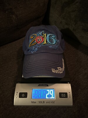 Walt Disney World 2016 Hat Adjustable Adult Cap WDW Park Exclusive-image