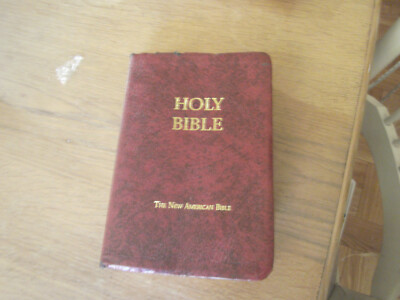 Fireside study bible New American  Printed 2003-image