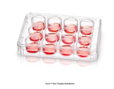 (67) Nunc Polystyrene 2mL 12-Well Multidish Flat Bottom Cell Culture Dish & Lid-image