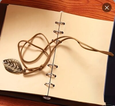 Faux Leather Pocket Journal 4x6 Spiral Bound Loose Leaf-image