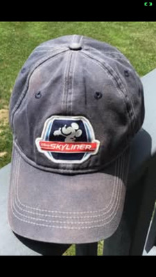 Disney Parks WDW Disney Skyliner 2019 Navy Blue Adjustable Baseball Hat-image