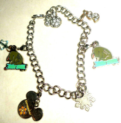 Vintage Silver Color Walt Disney World Orlando Charm Bracelet 7” WITH 6 CHARMS-image