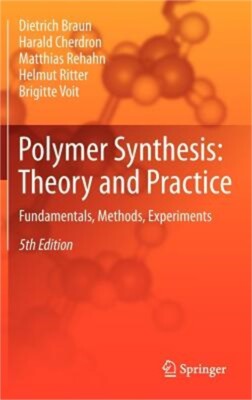 Polymer Synthesis: Theory and Practice: Fundamentals, Methods, Experiments (Hard-image