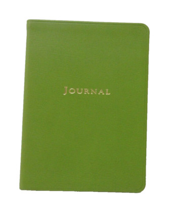 Journal Diary 7