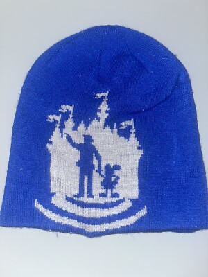 Disney Parks Partners Statue And Castle WDW Mickey Walt Blue Beanie Knit Cap Hat-image