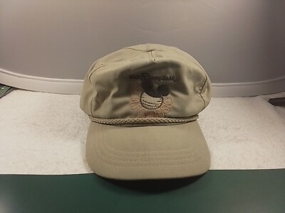 Vintage 1982 Walt Disney World Golf Classic ball Cap, Hat-image