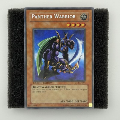 Panther Warrior CT2-EN006 2005 Collectors Tin Limited Edition-image
