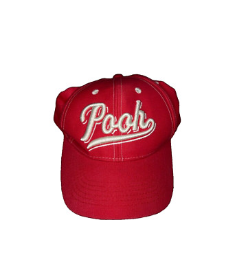 Vintage Walt Disney World Winnie The Pooh Raised Embroidered Snapback Hat - Red-image