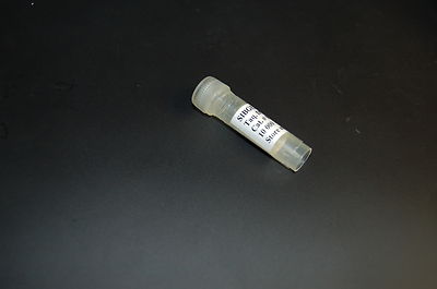 Taq DNA polymerase  thermostable DNA PCR pol 500U amplification chain reaction-image