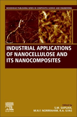 Industrial Applications Of Nanocellulose And Its Nanocomposites-image