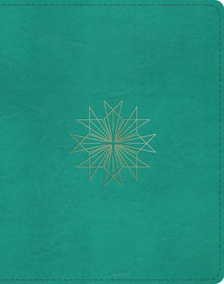 ESV Single Column Journaling Bible (English) Leather Book-image