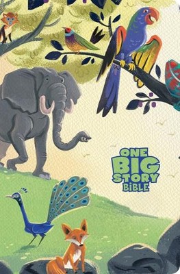 Csb Bibles by H CSB One Big Story Bible, Creation Le (Leather Bound) (UK IMPORT)-image