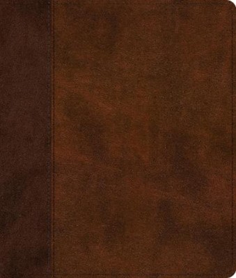 ESV Journaling Bible (Leather Bound) (UK IMPORT)-image