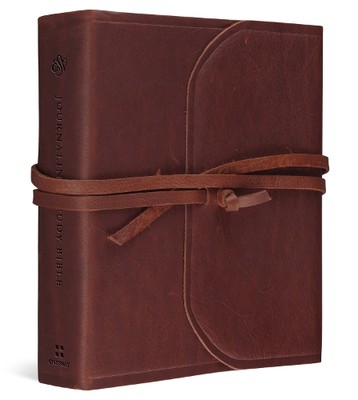 Jay Sklar ESV Journaling Study Bible (Leather Bound)-image