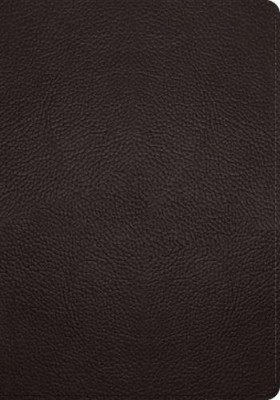 ESV Single Column Journaling Bible, Large Print (Leather Bound)-image