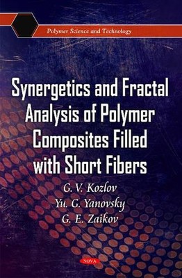 G V Kozlov Yu G Synergetics & Fractal Analysis of Polymer (Hardback) (UK IMPORT)-image