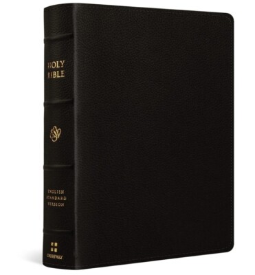 ESV Single Column Journaling Bible, Large Print, Buffalo Leather Deep BRN (2020)-image