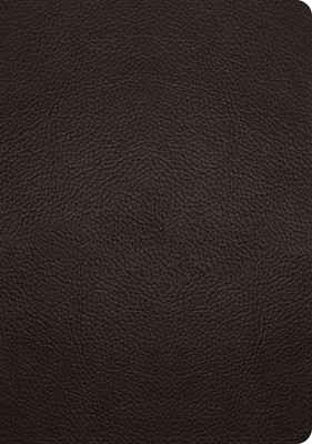 ESV Single Column Journaling Bible, Large Print (English) Leather Book-image