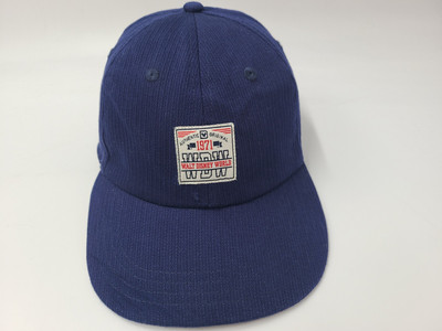 Walt Disney World 1971 Strapback Adjustable Hat Cap Cotton WDW Men Women Blue-image