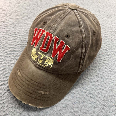 Walt Disney World Hat Cap Mens Baseball Cap One Size Walt Disney World-image