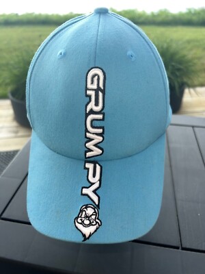 Walt Disney World Light Blue Grumpy Hat Cap Flexseam stretch band. Embroidered.-image