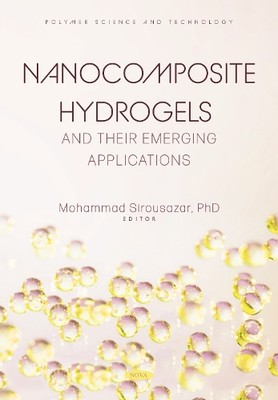 Mohammad Sirous Nanocomposite Hydrogels and their Emergin (Hardback) (UK IMPORT)-image
