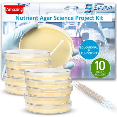 Evviva Sciences Nutrient Agar Petri Dishes Science Project Kit, Pre-Poured Ag...-image