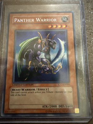 Panther Warrior CT2-EN006 2005 Collectors Tin Limited Edition-image