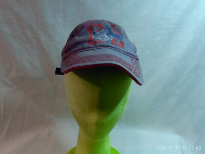 WALT DISNEY WORLD MICKEY YOUTH BALL CAP. Very good condition! -image