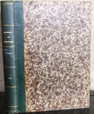 Journal Du Dimanche - Littérature - Histoire - Voyages. 1878 (Complete year) -image