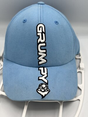 Walt Disney World Light Blue Grumpy Fitted Hat Cap Flexseam Embroidered-image