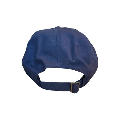 Disney Parks Walt Disney World Ball Cap Hat Adjustable Blue-image