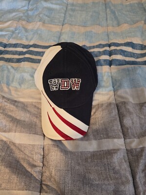 Walt Disney World Flag Hat American Freedom-image