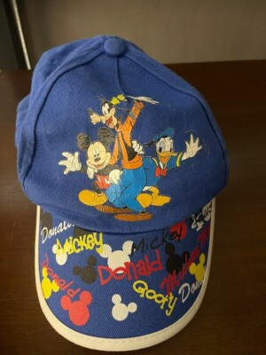 Youth boys Walt Disney World blue Hat Donald Goofy Mickey One Size-image