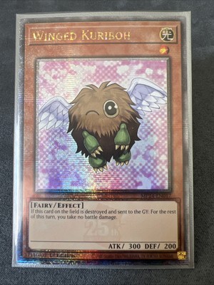 Winged Kuriboh-Quarter Century Secret Rare 25th Anniversary Tin: Dueling Mirrors-image
