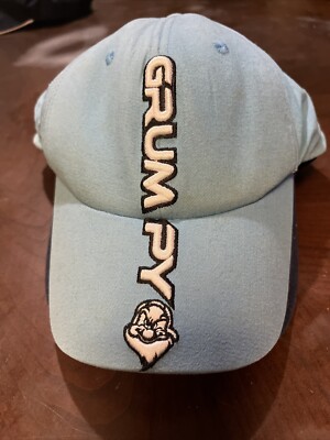 Walt Disney World Light Blue Grumpy Hat Cap Flexseam stretch band. Embroidered.-image