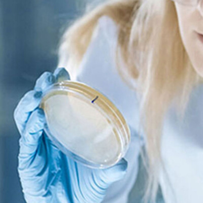 10 Pcs Petri Dish Laboratory Supplies Science Equipment Cell Culture Dishes-image