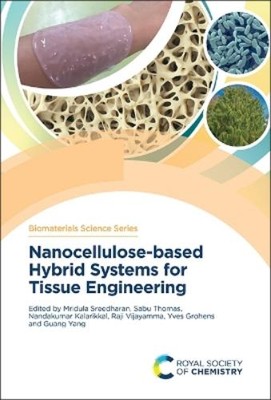 Mridula Sreedha Nanocellulose-based Hybrid Systems for Ti (Hardback) (UK IMPORT)-image