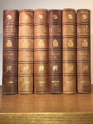 LEATHER Set;ENCYCLOPEDIA MASSIVE LIBRARY OF NATURAL HISTORY! plates. Enormous-image