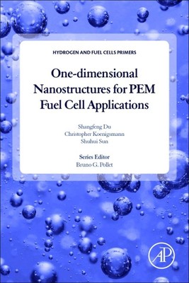 One-Dimensional Nanostructures for PEM Fuel Cell Applications, Paperback by D...-image