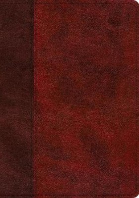 ESV Single Column Journaling Bible, Large Print (Leather Bound) (UK IMPORT)-image