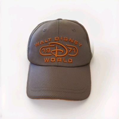 Walt Disney World Parks Hat Authentic Cap - Grey Adult -image