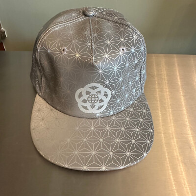 Walt Disney World Epcot reflective hat-image